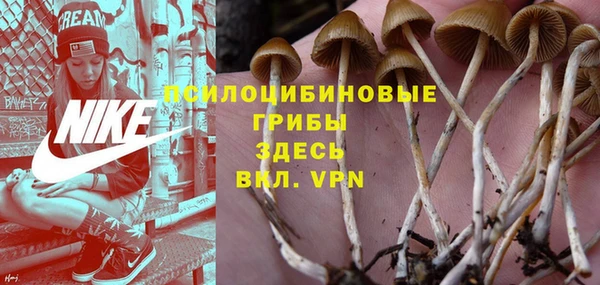 MDMA Зерноград