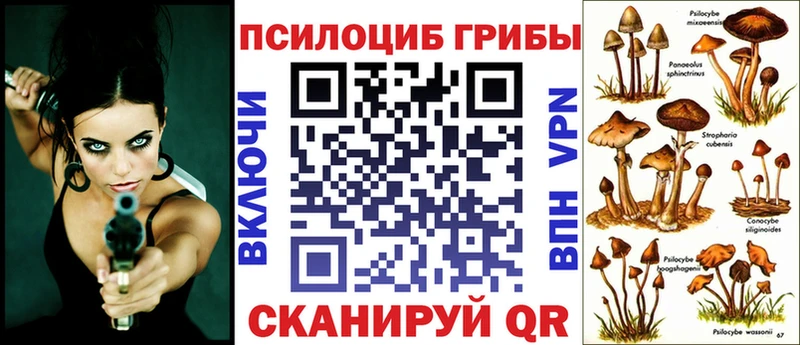 где продают наркотики  Кызыл  Галлюциногенные грибы мухоморы 
